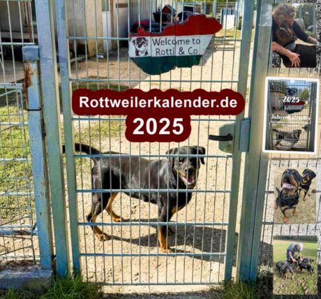 Rottweiler-Auffangstation